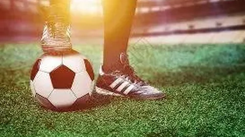 乐鱼体育 资讯 175056 8w1