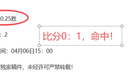 波爾津吉斯呼籲面對技術犯規保持鎮定，今晚比賽對我們而言充滿挑戰。